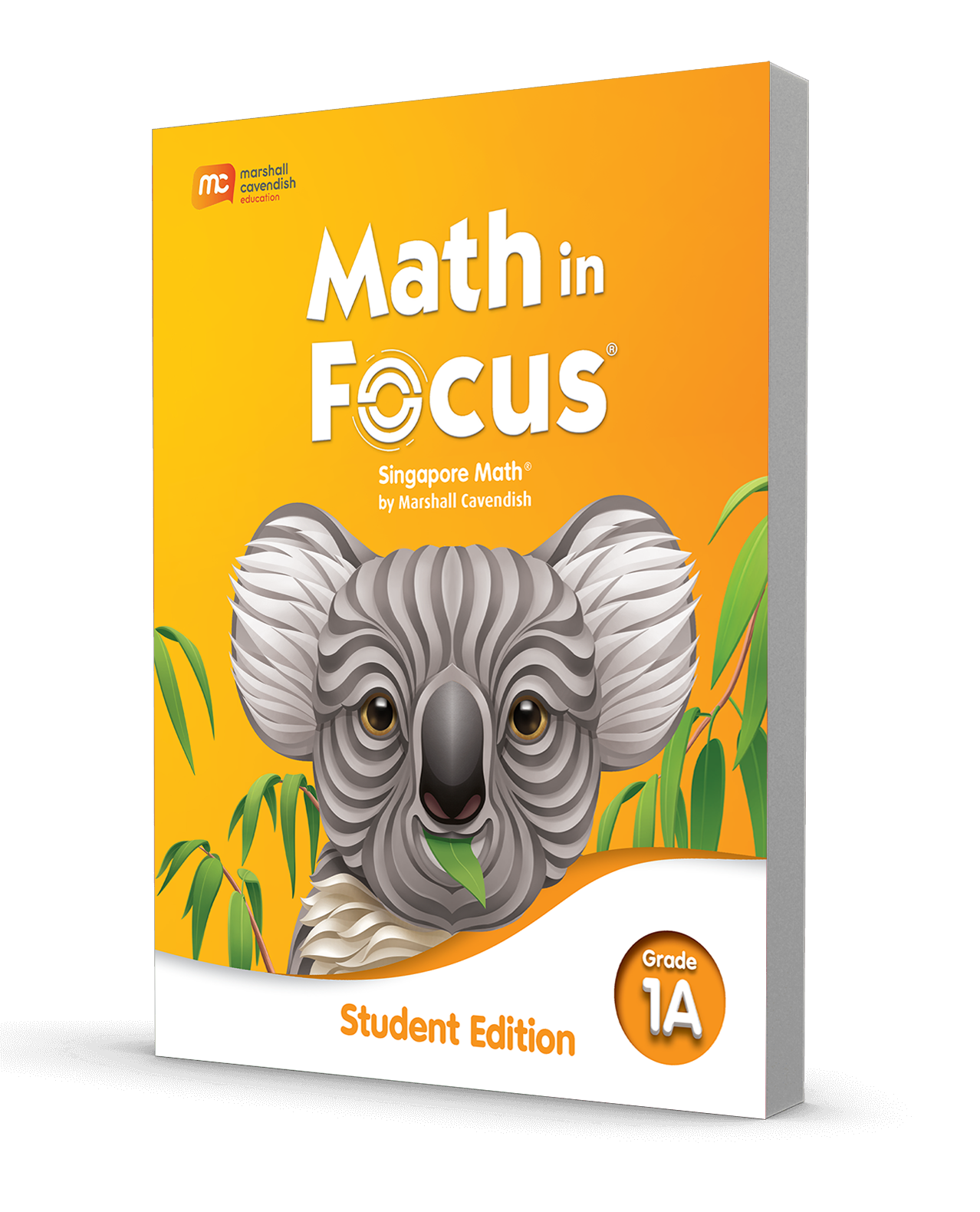 Maths in Focus