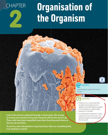 IGCSE Biology Annotatable eBook