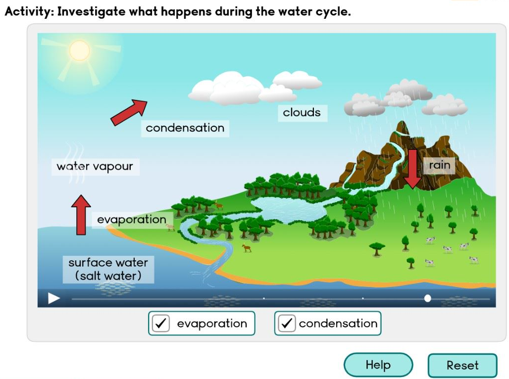 Maths Digital Suites