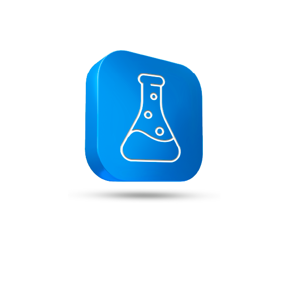 asset 6