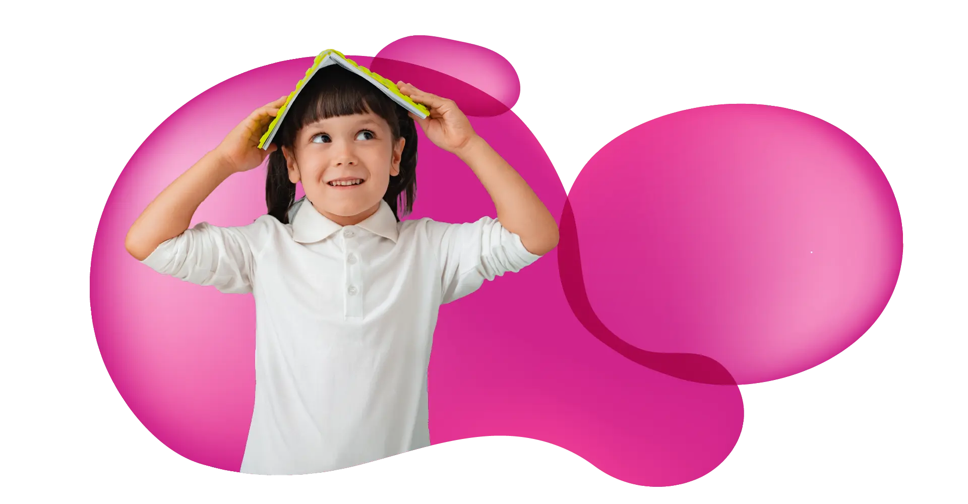 Math in Focus Banner