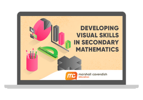 Developing Visual Skills